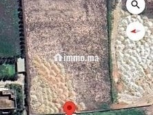 Terrain à louer à Médiouna, enregistré et conservé - Terrain à louer - Casablanca