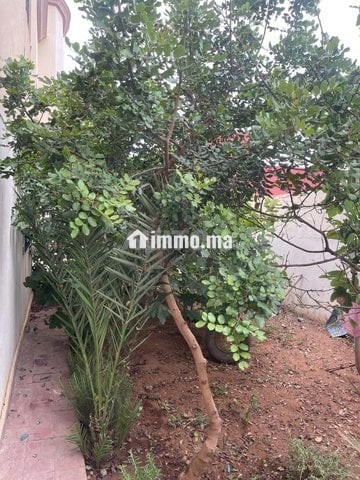 Villa à vendre Hay Chmaou - Vente Immobilier - Sale - photo 1