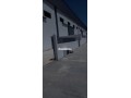 Magasin Hangar à vendre - miniature 3