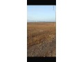 Terrain agricole a vendre - miniature 2