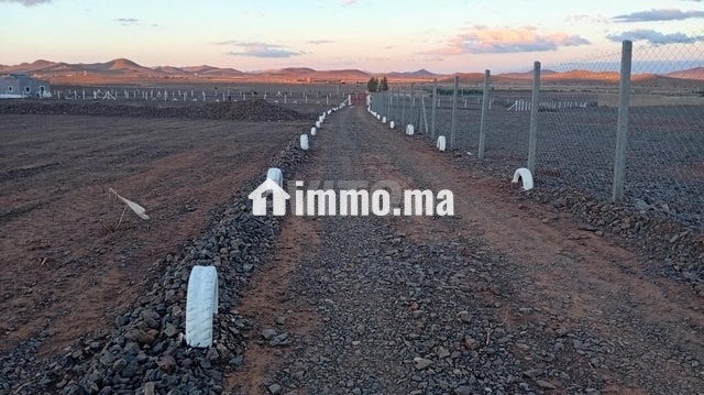 Terrain 18 km Marrakech piste 100 m - Vente Immobilier - Marrakech - photo 1