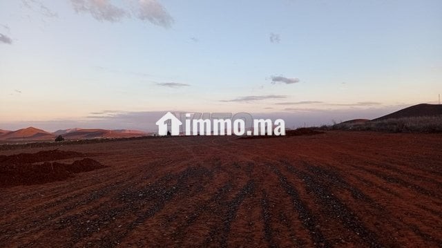 Terrain 18 km Marrakech piste 100 m - Vente Immobilier - Marrakech - photo 3