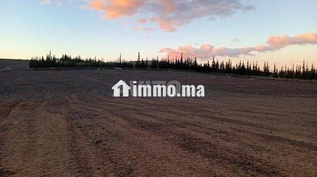 Terrain 18 km Marrakech piste 100 m - Vente Immobilier - Marrakech - photo 4