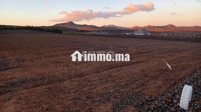 Terrain 18 km Marrakech piste 100 m - Vente Immobilier - Marrakech - photo 5