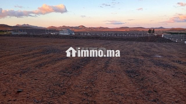 Terrain 18 km Marrakech piste 100 m - Vente Immobilier - Marrakech - photo 6