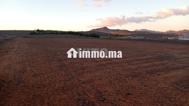 Terrain 18 km Marrakech piste 100 m - Vente Immobilier - Marrakech - photo 7