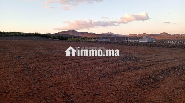 Terrain 18 km Marrakech piste 100 m - Vente Immobilier - Marrakech - photo 8