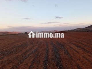 Terrain 18 km Marrakech piste 100 m - Terrain à vendre - Marrakech