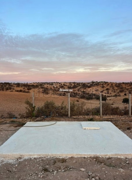 Maison Beldi avec terrain 1000 m² Tidzi - Vente Immobilier - Essaouira - photo 4