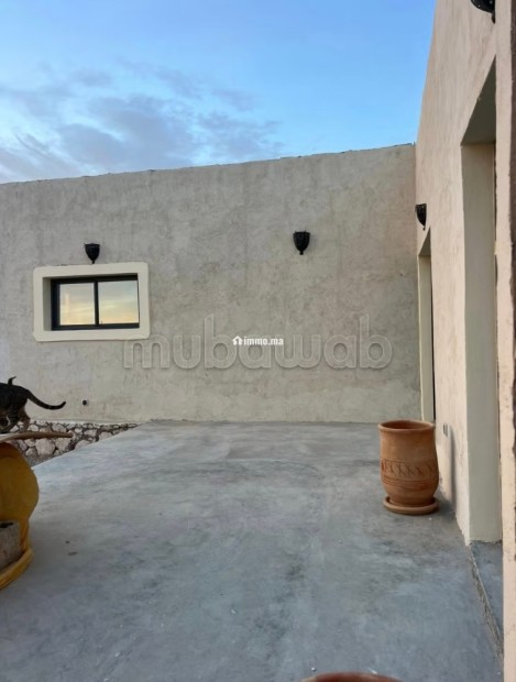 Maison Beldi avec terrain 1000 m² Tidzi - Vente Immobilier - Essaouira - photo 6