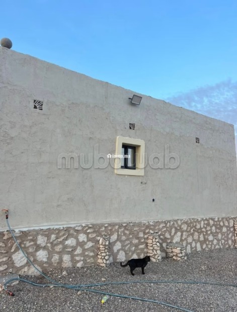Maison Beldi avec terrain 1000 m² Tidzi - Vente Immobilier - Essaouira - photo 7