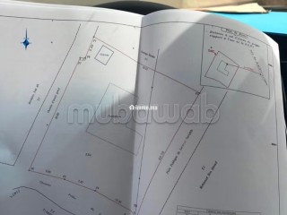 Maison Beldi avec terrain 1000 m² Tidzi - Maison à vendre - Essaouira