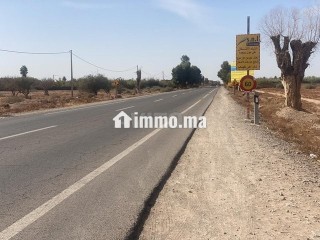 Terrain à vendre superficie 19500 mètres titre route de Fès km 26 mk - Terrain à vendre - Marrakech