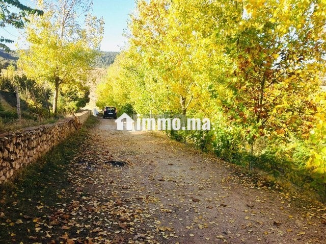 Appartements à vendre 1 m² à Ifrane - Vente Immobilier - Ifrane - photo 8