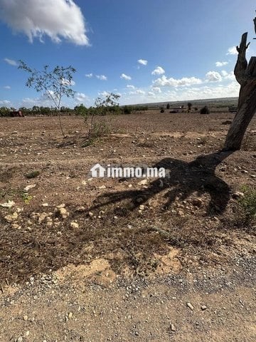 Terrain à vendre titré à la commune de Chouaibat - Vente Immobilier - El Jadida - photo 6