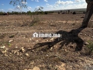 Terrain à vendre titré à la commune de Chouaibat - Terrain à vendre - El Jadida