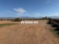 Terrain titre d’1hectare - miniature 3