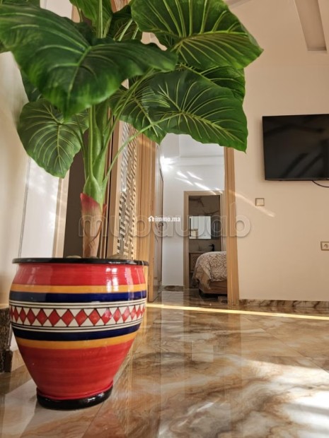 Appartement de vacances à louer à Bab Enzh. 2 chambres. Jardin et terrasse - Vente Immobilier - Essaouira - photo 3