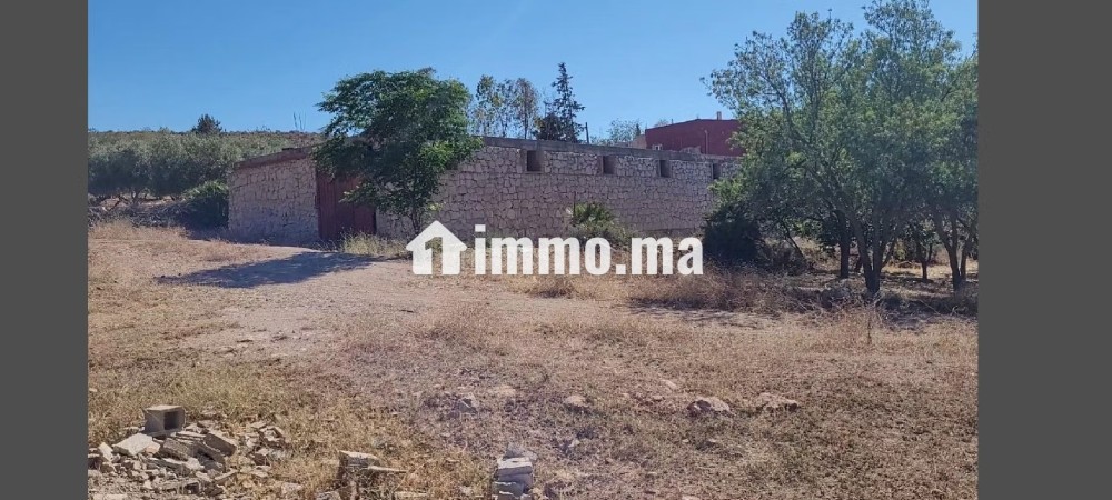 Agréable ferme à vendre à Bhalil. 4 belles chambres - Vente Immobilier - Autre - photo 4