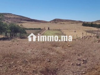 Agréable ferme à vendre à Bhalil. 4 belles chambres - Terrain à vendre - Autre