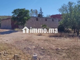 Agréable ferme à vendre à Bhalil. 4 belles chambres - Terrain à vendre - Autre
