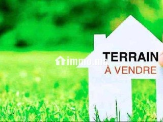 أرض فلاحية للبيع فمدينة مكناس - Terrain à vendre - Meknes
