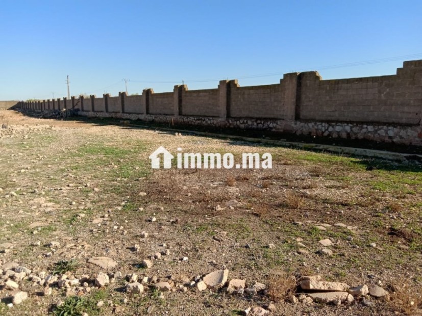 للكراء : أرض صناعية بموقع استراتيجي في خريبكة - Location Immobilier - Khouribga - photo 1