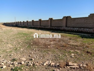 للكراء : أرض صناعية بموقع استراتيجي في خريبكة - Terrain à louer - Khouribga