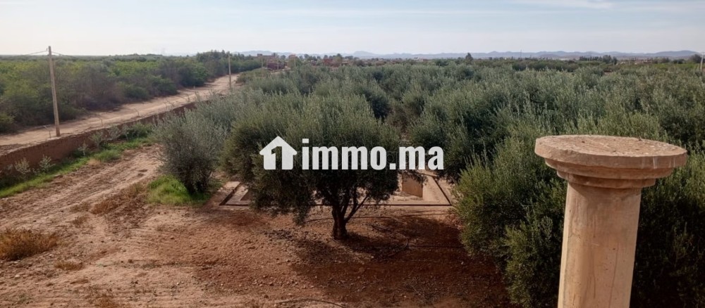 Cadre Naturel et Potentiel Unique à Vendre - Vente Immobilier - Marrakech - photo 2