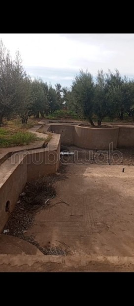 Cadre Naturel et Potentiel Unique à Vendre - Vente Immobilier - Marrakech - photo 3