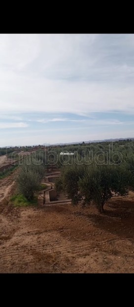 Cadre Naturel et Potentiel Unique à Vendre - Vente Immobilier - Marrakech - photo 4