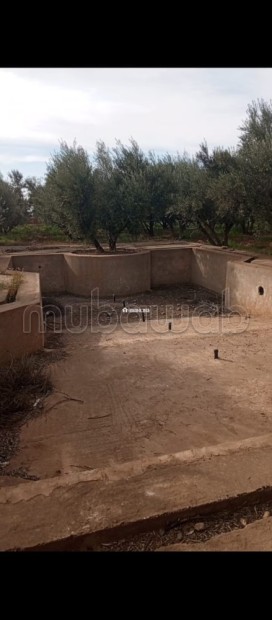 Cadre Naturel et Potentiel Unique à Vendre - Vente Immobilier - Marrakech - photo 7