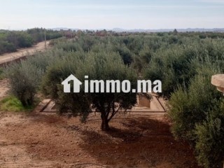 Cadre Naturel et Potentiel Unique à Vendre - Appartement à vendre - Marrakech