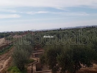 Cadre Naturel et Potentiel Unique à Vendre - Appartement à vendre - Marrakech