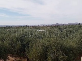 Cadre Naturel et Potentiel Unique à Vendre - Appartement à vendre - Marrakech