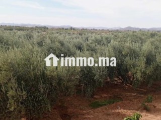 Cadre Naturel et Potentiel Unique à Vendre - Appartement à vendre - Marrakech