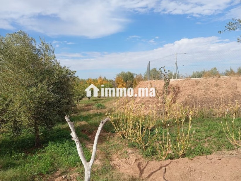 Investissez dans l’avenir: Terrain à vendre - Vente Immobilier - Marrakech - photo 1