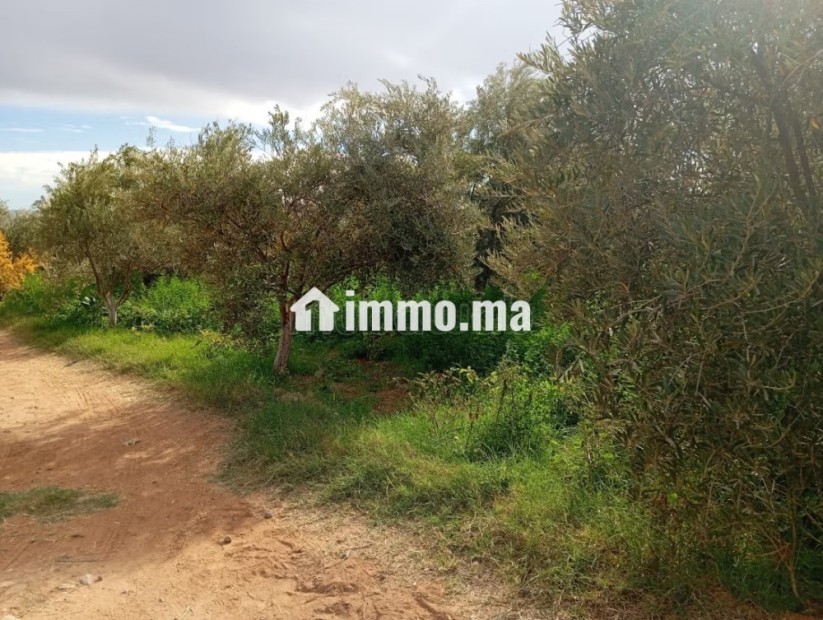 Investissez dans l’avenir: Terrain à vendre - Vente Immobilier - Marrakech - photo 2