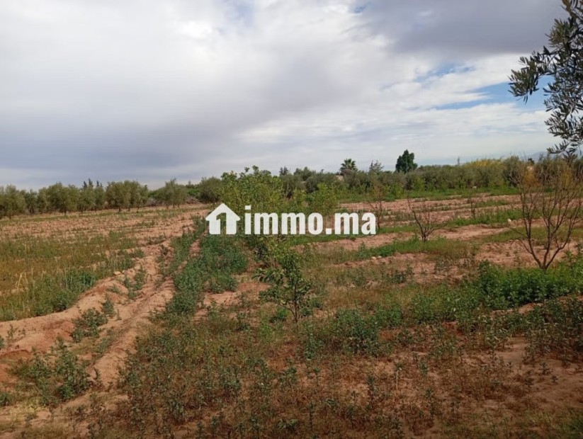 Investissez dans l’avenir: Terrain à vendre - Vente Immobilier - Marrakech - photo 5