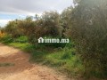 Investissez dans l’avenir: Terrain à vendre - miniature 2
