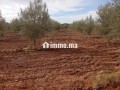 Investissez dans l’avenir: Terrain à vendre - miniature 4