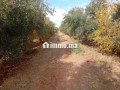 Investissez dans l’avenir: Terrain à vendre - miniature 7