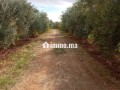Investissez dans l’avenir: Terrain à vendre - miniature 8