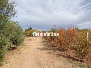 Investissez dans l’avenir: Terrain à vendre - Terrain à vendre - Marrakech