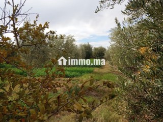 Investissez dans l’avenir: Terrain à vendre - Terrain à vendre - Marrakech