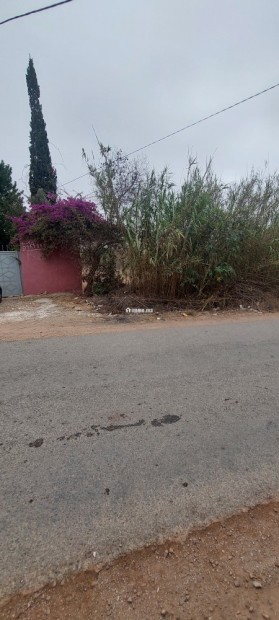 Terrain à vendre à Oued Maleh – Route de Bensliman - Vente Immobilier - Casablanca - photo 1