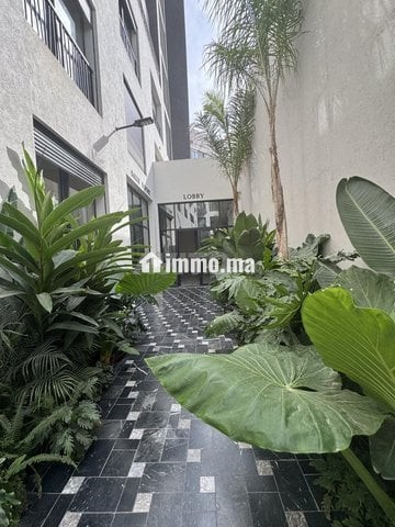 Studio cfc sans inteermediaires - Location Immobilier - Casablanca - photo 3
