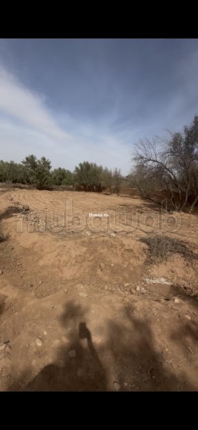 Terrain titré 820m2 25kms Marrakech - Vente Immobilier - Autre - photo 1