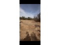 Terrain titré 820m2 25kms Marrakech - miniature 1