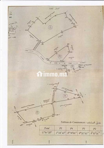Daimouss/Tanger – 5 parcelles titrées, 5.91 ha – - Vente Immobilier - Tanger - photo 1